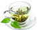 چای سبز,چای لاغری