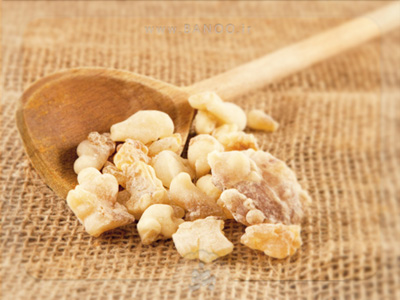 کندر در بارداری