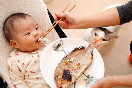 خواص روغن ماهی برای کودکان,خواص ماهی برای کودکان,خوردن ماهی برای کودکان