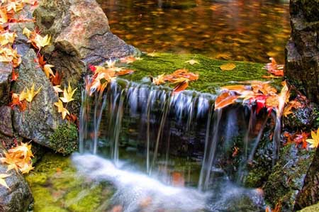 سوژه عکاسی, آموزش عکاسی در پاییز