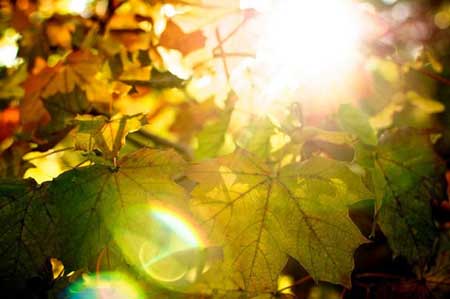 سوژه عکاسی, آموزش عکاسی در پاییز