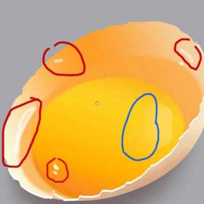  طراحی تخم مرغ, آموزش کار با فتوشاپ