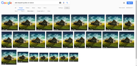 searchgoogle-photos2.jpg