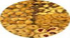 شیرینی خشک