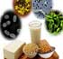 طرز تهیه ماست پروبیوتیک , فرآورده های پروبیوتیکی