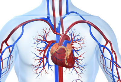 پیشگیری از بیماریهای قلبی,29 سپتامبر روز جهانی قلب,7 مهر روز جهانی قلب