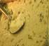 طرز تهیه آش دوغ