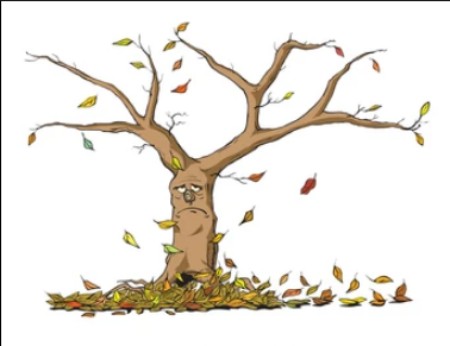 مجموعه کاریکاتورهای فصل پاییز,کاریکاتور فصل پاییز, کاریکاتور با مضمون پاییز