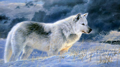 متن های زیبا درباره گرگ, جملات زیبا در مورد گرگ 