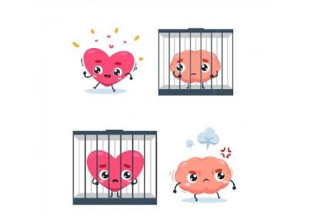 کاریکاتور مغز و قلب, کاریکاتور قلب و مغز, مغز و قلب, مجموعه کاریکاتور قلب و مغز
