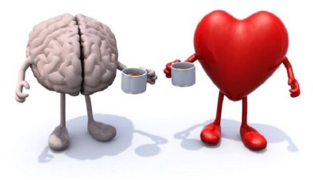 کاریکاتور مغز و قلب, کاریکاتور قلب و مغز,انواع کاریکاتور از قلب و مغز