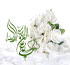 مراسم شب عروسی حضرت زهرا (ع)