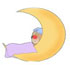 اس ام اس شب بخیر گفتن (2)