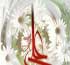اس ام اس ولادت حضرت علی (ع)