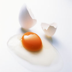 Eggs2.jpg