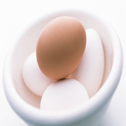 Eggs3.jpg