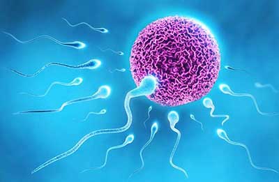 تقویت اسپرم برای بارداری