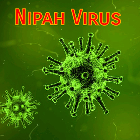درمان ویروس نیپاه, علایم ویروس نیپاه