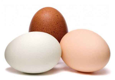 نکات مهم وضروری در نگهداری تخم مرغ