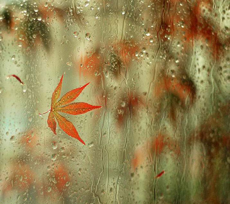 عکس باران پاییزی, تصاویر باران پاییزی