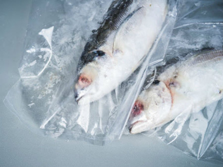 نگهداری ماهی در فریزر, شیوه نگهداری ماهی در فریزر, روش های صحیح فریز کردن و یخ زدایی ماهی