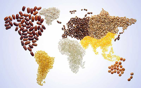تبریک روز جهانی غذا, پوسترهای روز جهانی غذا