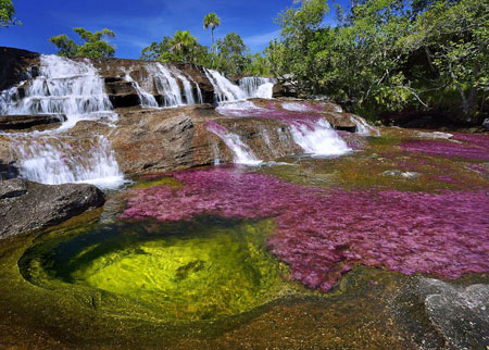رودخانه 5 رنگ Caño Cristales در کلمبیا