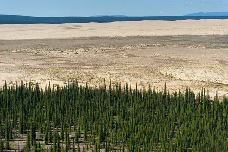 پارک ملی کوبوک,پارهای طبیعی,جنگل های سردسیر آلاسکا, http://www.oojal.rzb.ir/post/1064