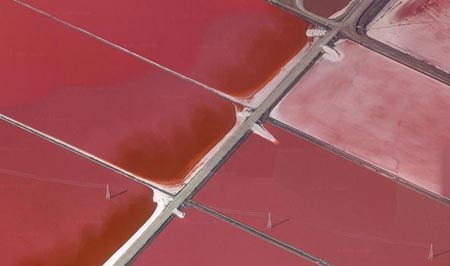 دیدنی های خلیج سان فرانسیسکو,استخرهای رنگارنگ نمک,تصاویر فرآیند تولید نمک