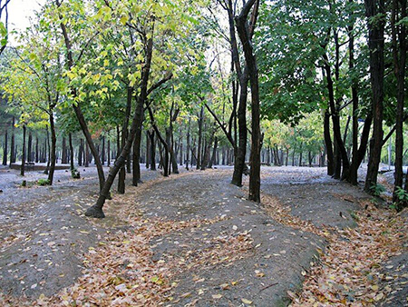 بزرگ ترین پارک‌های جنگلی ایران,پارک‌های جنگلی ایران