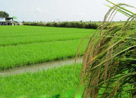 زرگر محله,مازندران,جاهای دیدنی مازندران