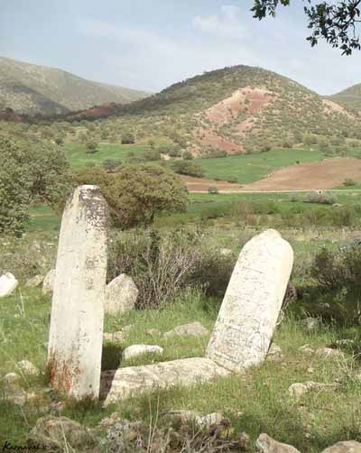 آموزش کار با قطب نما,قطب نما