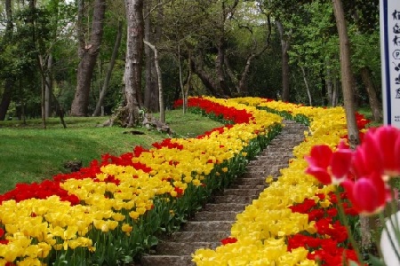 پارک ییلدیز استانبول, زمان بازدید از پارک ییلدیز, طبیعت زیبای پارک ییلدیز