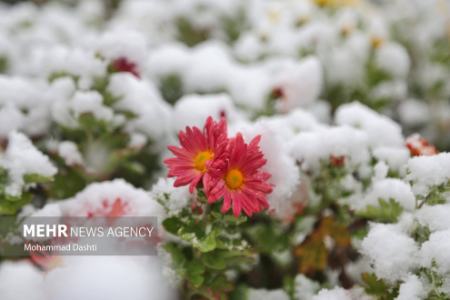  برف پاییزی در اردبیل,اخبارگوناگون,خبرهای گوناگون 