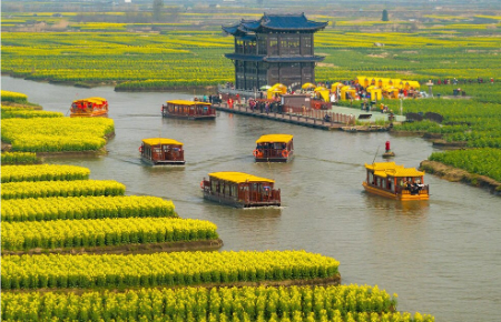 عکسهای جالب,عکسهای جذاب,حرکت قایق هایی مملو از گردشگران برای تماشای مزارع کلزا در جیانگسو چین 