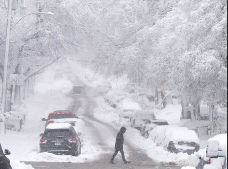 عکسهای جالب,عکسهای جذاب,بارش برف بهاری در مونترال کانادا