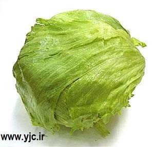 گاوصندوق های جالب , گاوصندوق های خلاقانه گاوصندوق های جالب , گاوصندوق های خلاقانه