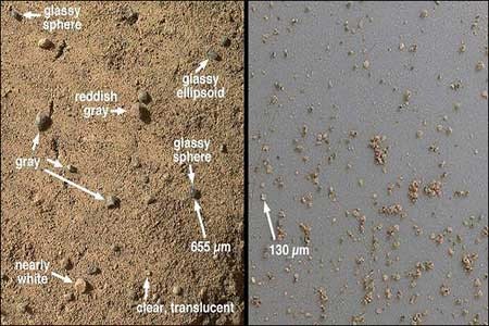 نشانه‌ای از حیات در مریخ یافت نشد