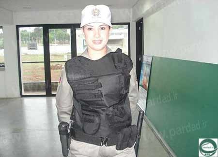 سانحه تصادف ,زنبورهاي عسل سانحه تصادف ,زنبورهاي عسل