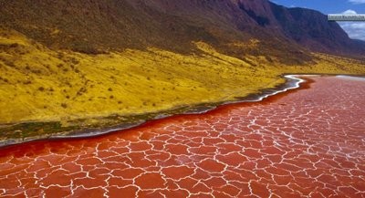 دریاچه نمک ناترون در تانزانیا