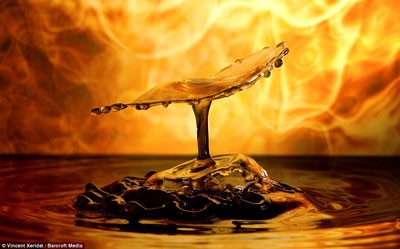 هنر عكاسي: برج ایفل با قطرات آب هنر عكاسي: برج ایفل با قطرات آب