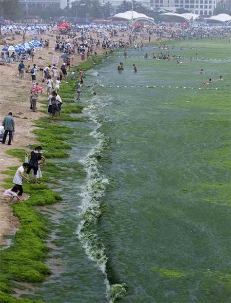 آبتنی در لجنهای چینی آبتنی در لجنهای چینی
