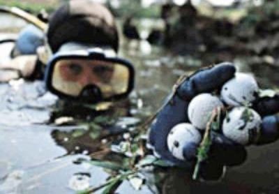 شغل عجیب,شغلهای عجیب وغریب