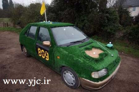 گلف,ورزش گلف