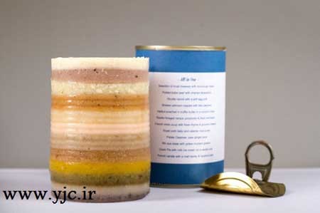 غذای مختلف در یک کنسرو 