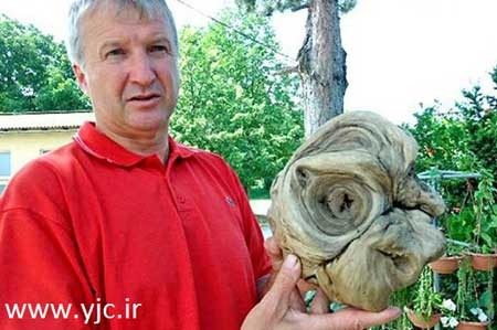 پیدا شدن آدم فضایی این بار زیر زمین