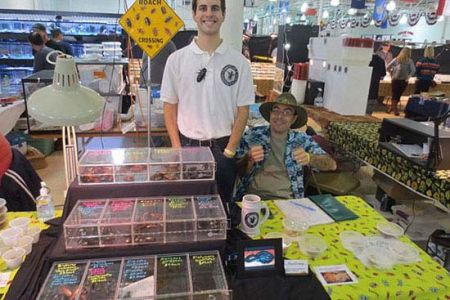 حیوانات عجیب و غریب,انواع سوسک,نگه داشتن حیوانات عجیب و غریب