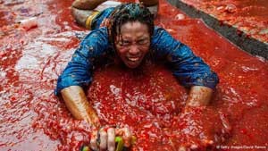 گوجه, اسپانیا,جشن پرتاب گوجه