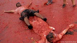 گوجه, اسپانیا,جشن پرتاب گوجه