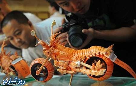 خرچنگ,کاردستی با خرچنگ